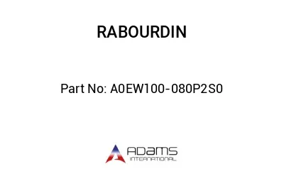 A0EW100-080P2S0