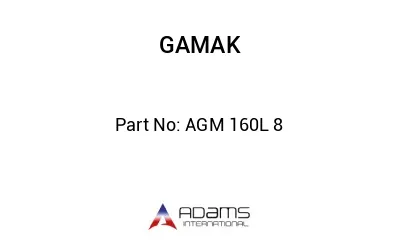 AGM 160L 8