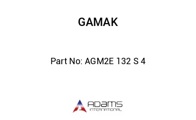 AGM2E 132 S 4