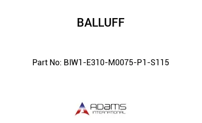BIW1-E310-M0075-P1-S115									
