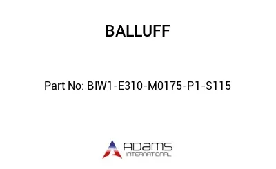 BIW1-E310-M0175-P1-S115									