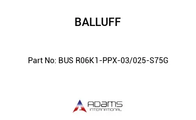 BUS R06K1-PPX-03/025-S75G									 BUS R06K1-PPX-03/025-S75G