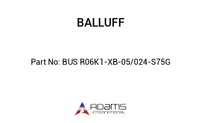 BUS R06K1-XB-05/024-S75G									 BUS R06K1-XB-05/024-S75G